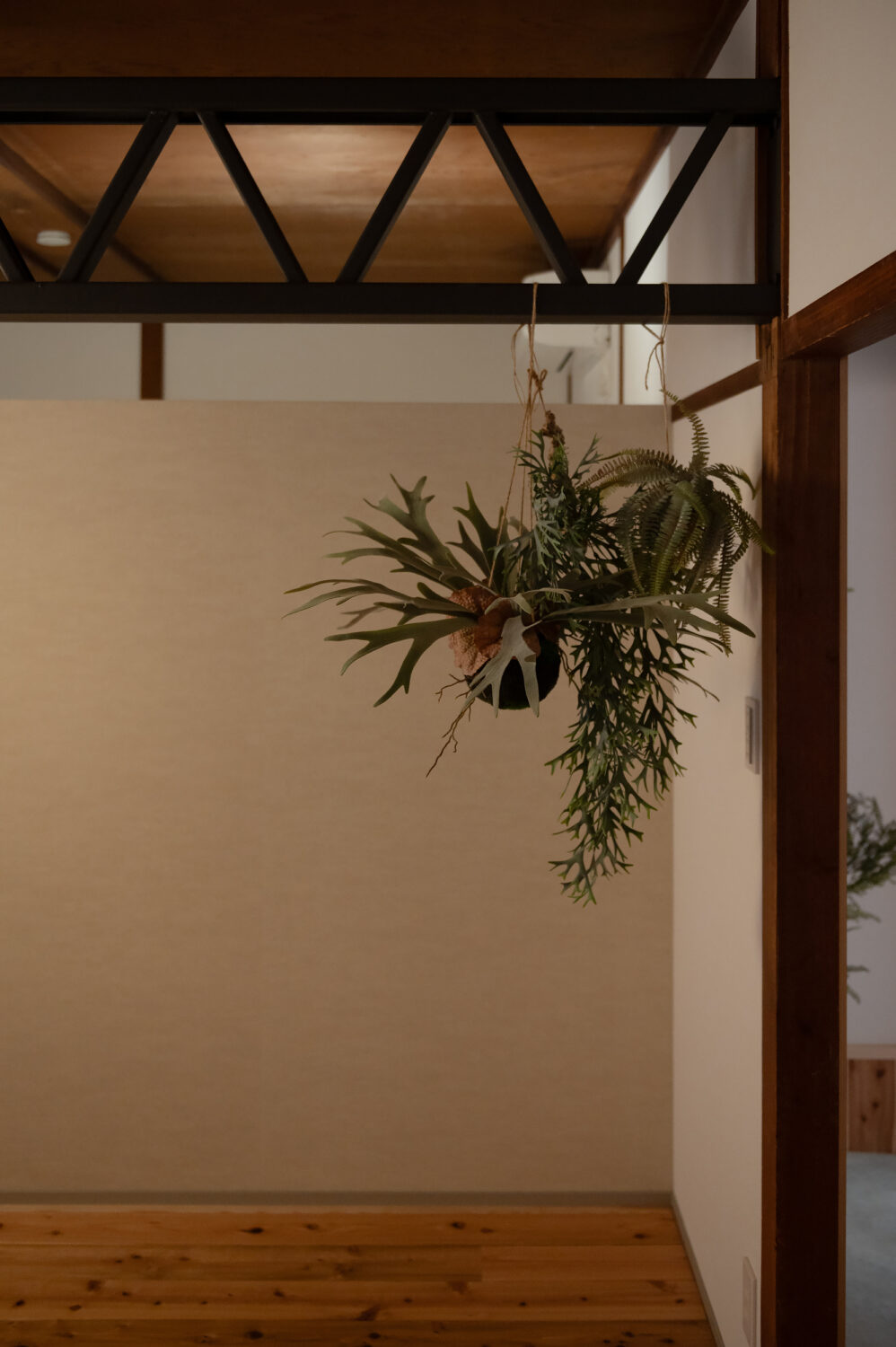 リビングの観葉植物