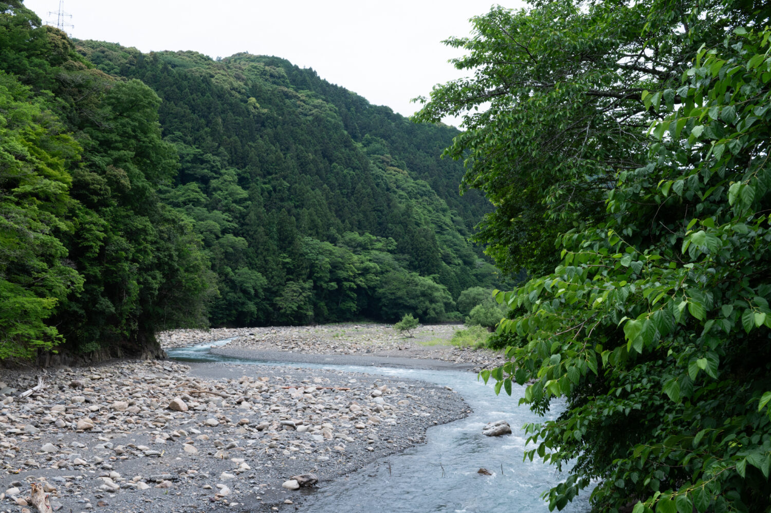 周辺の河原